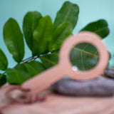 Wooden Magnifying Glass